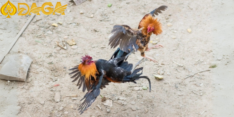 Xác minh về thông tin cá nhân